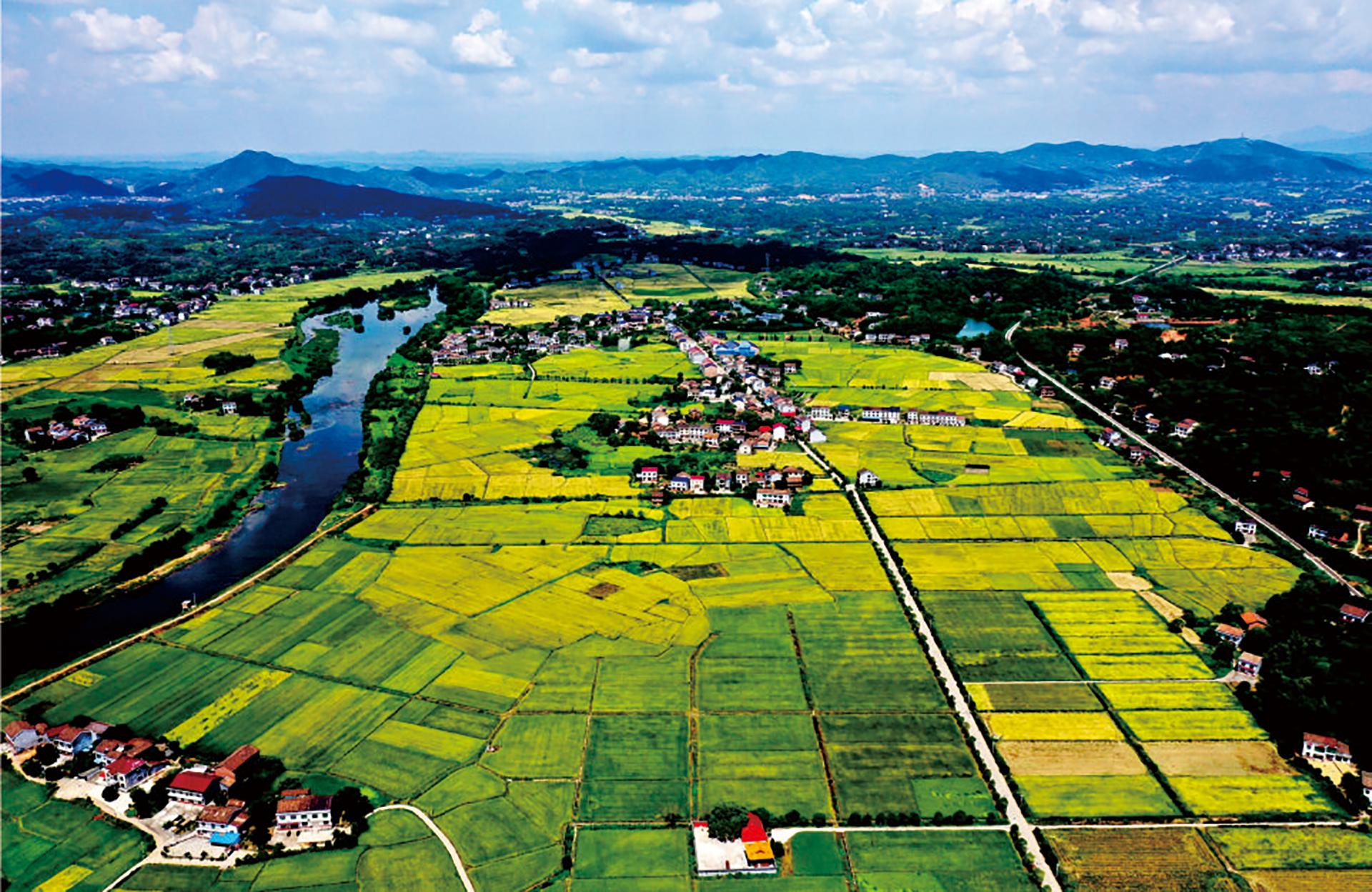 美麗鄉(xiāng)村建設(shè)