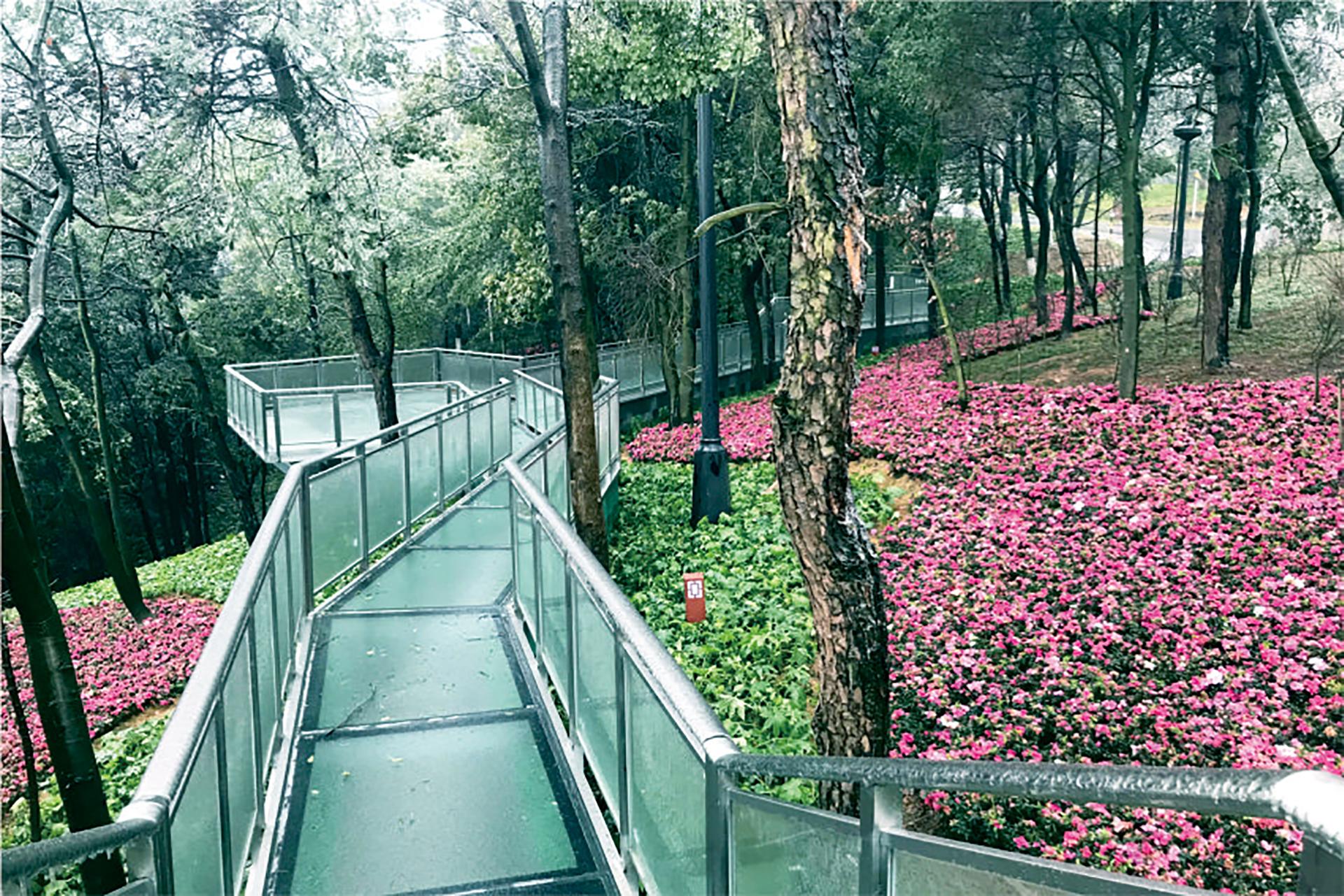 仙山公園提質改造